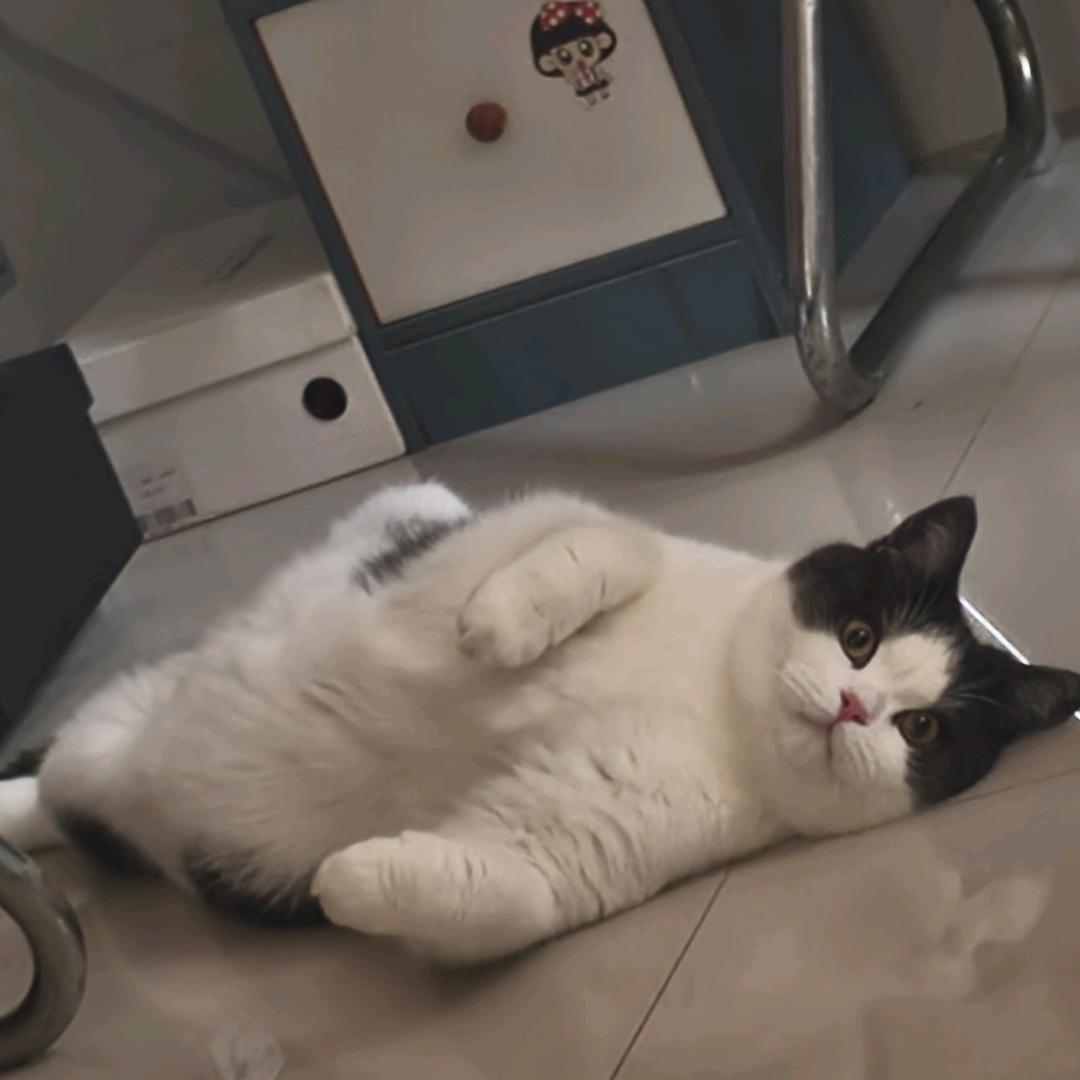 *水涛*