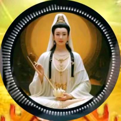 鑫鑫九哥