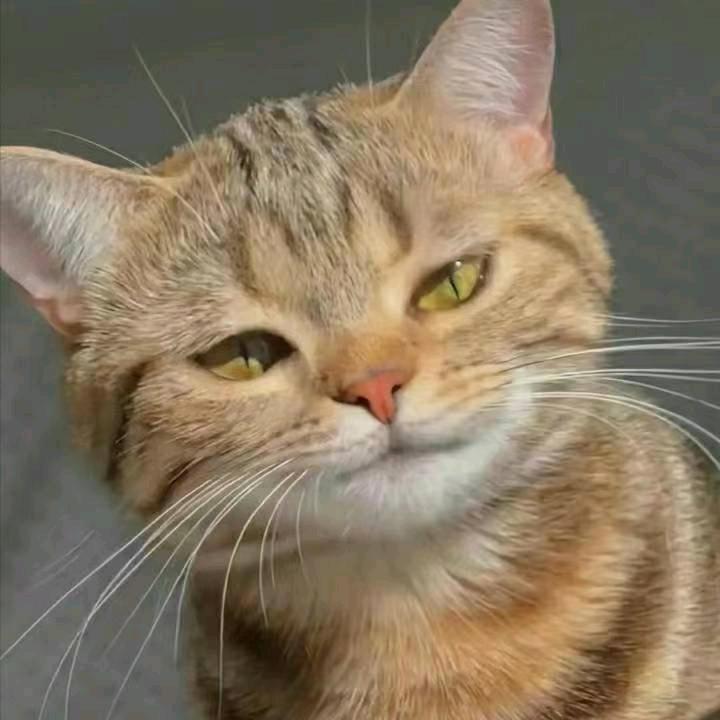 青韵默宇
