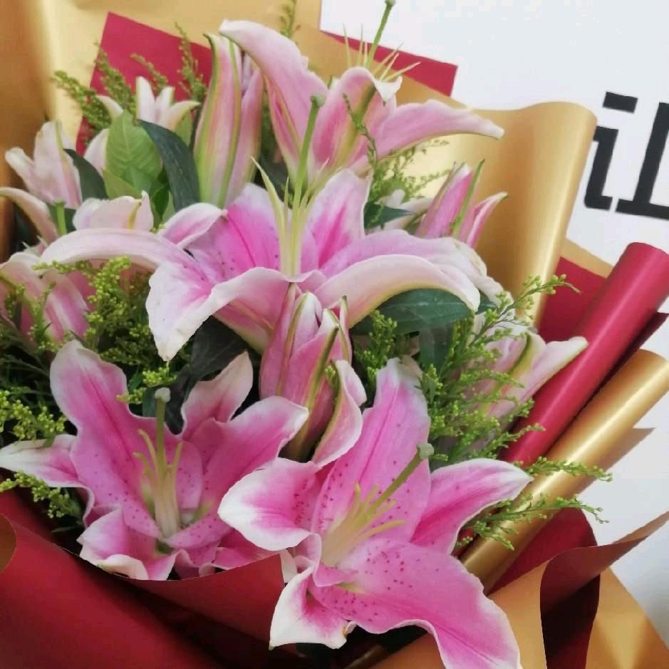 四月丹姐红太阳