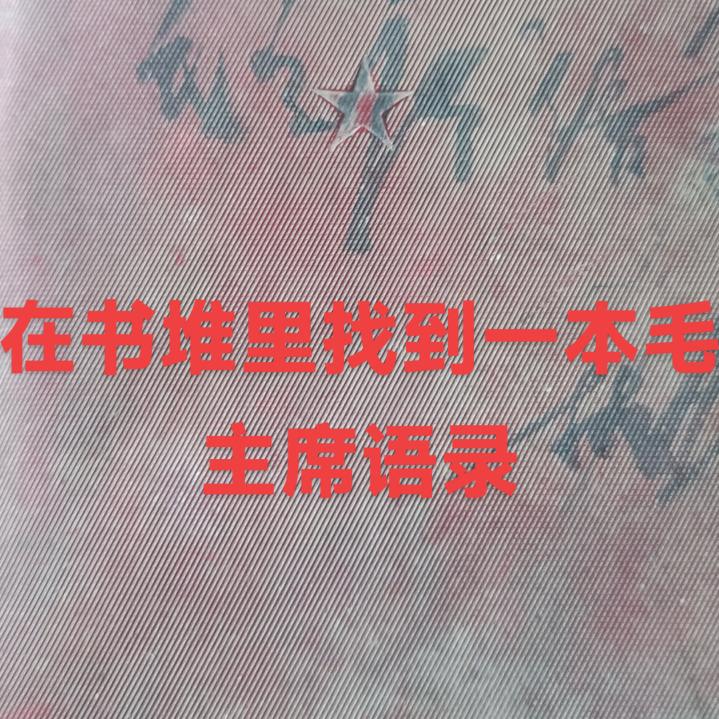 🌻今天为你祝福，🦩