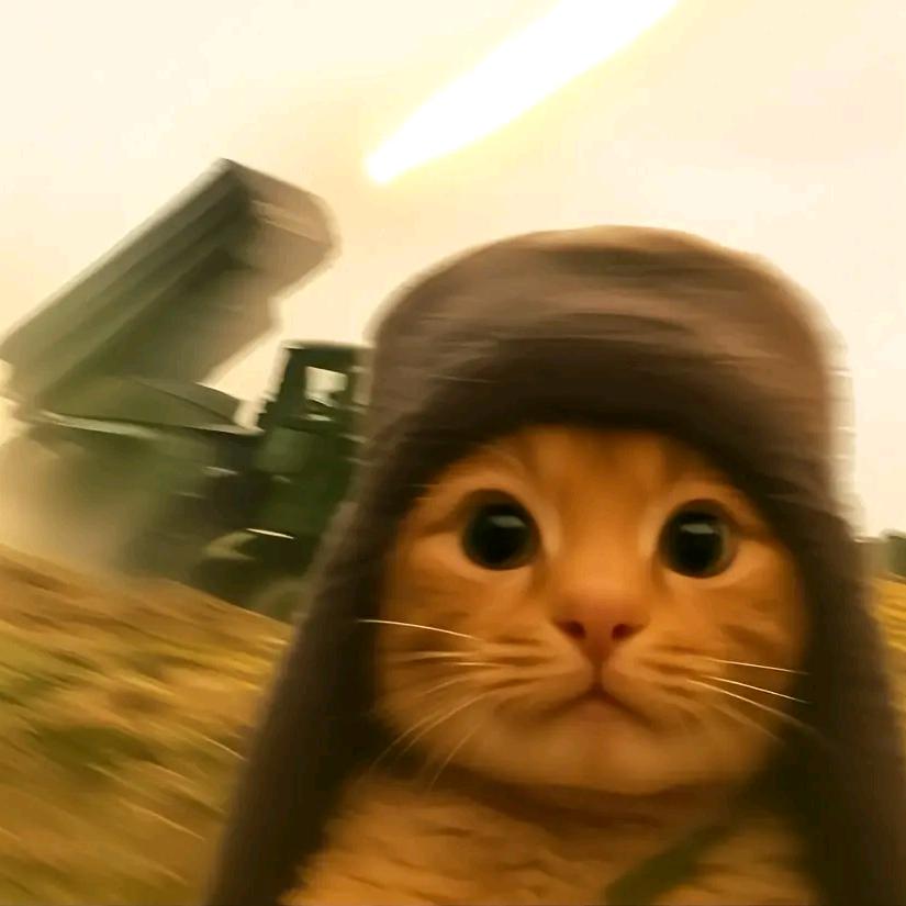 aaa甄等2.0万人头像