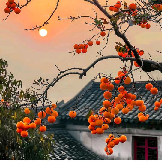 满眼笑意