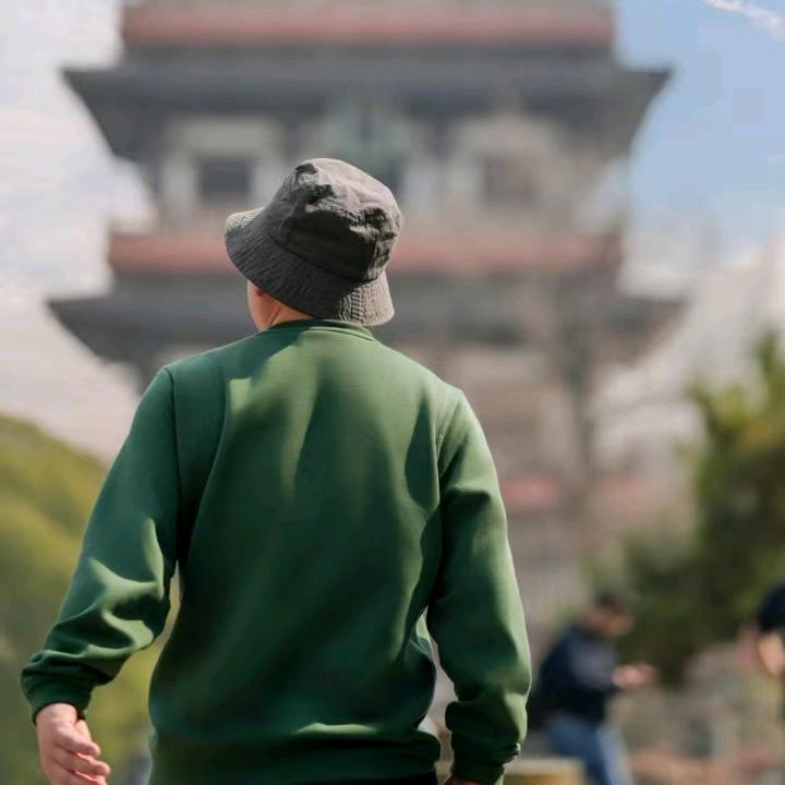 P大将军