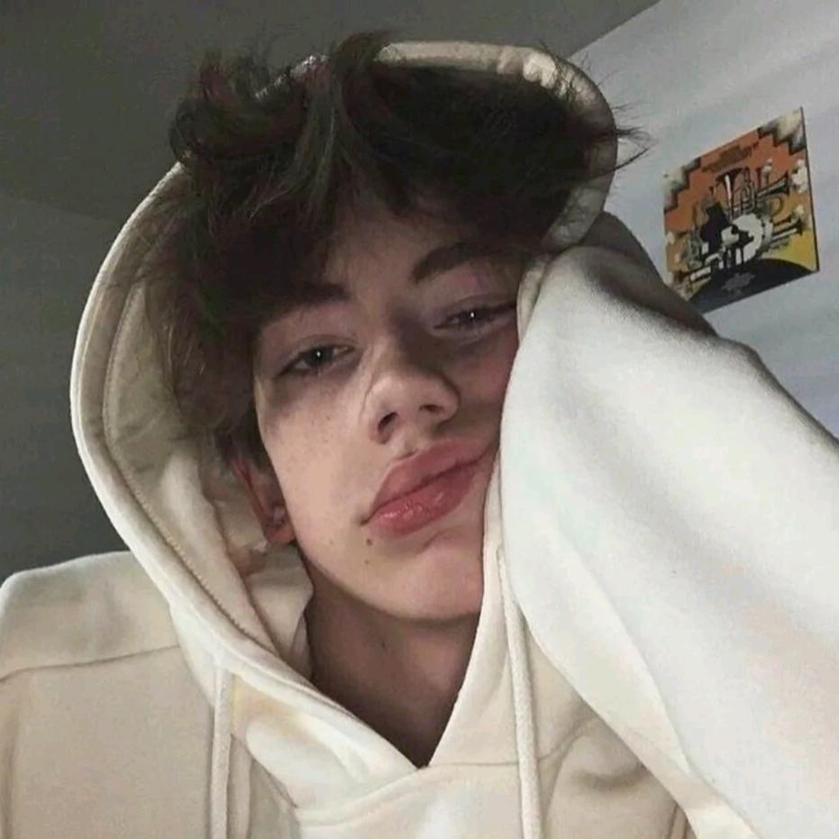 hao多鱼（批发骨质瓷 工厂直销）