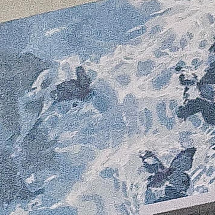 墨雨