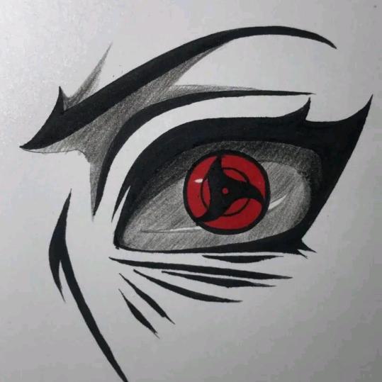 综艺万花筒