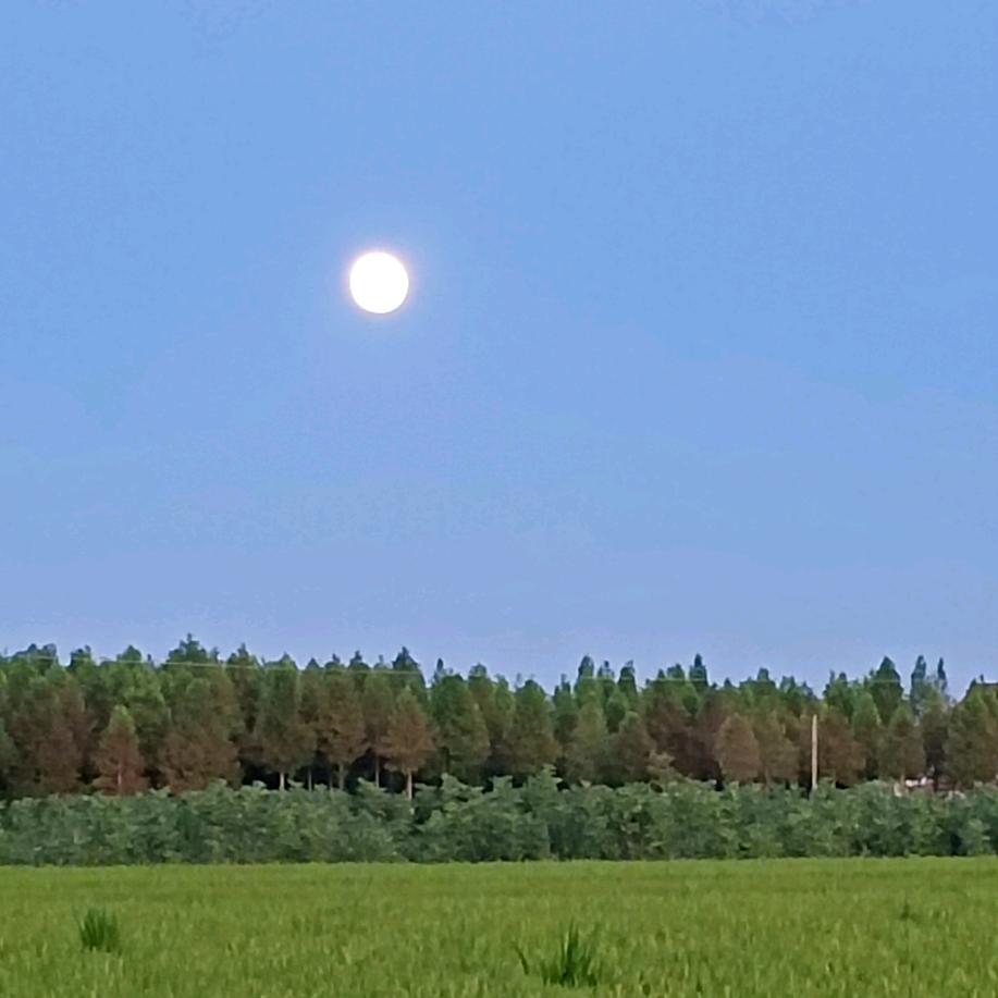 风行天下美食分享