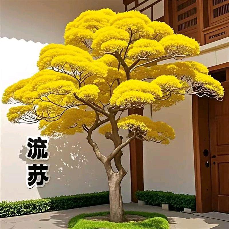 我的明天会更好