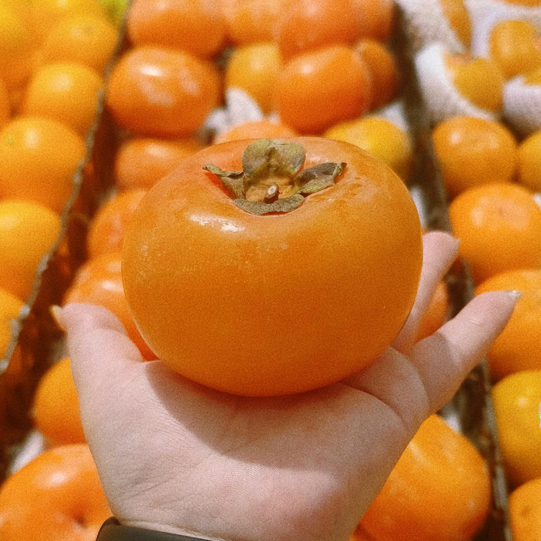 𝙠𝙞𝙩𝙩𝙮（见过鹿晗版）