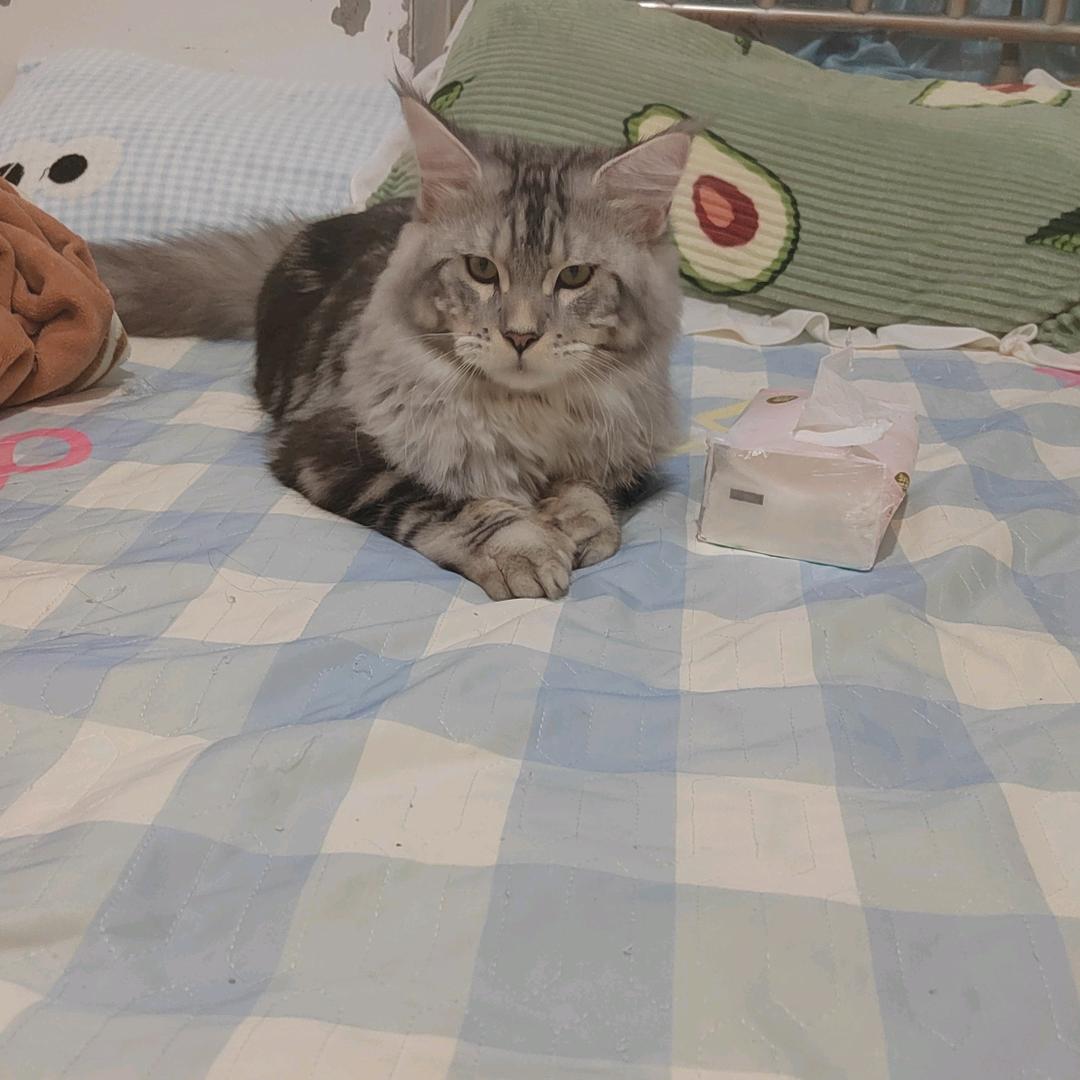 心想事成