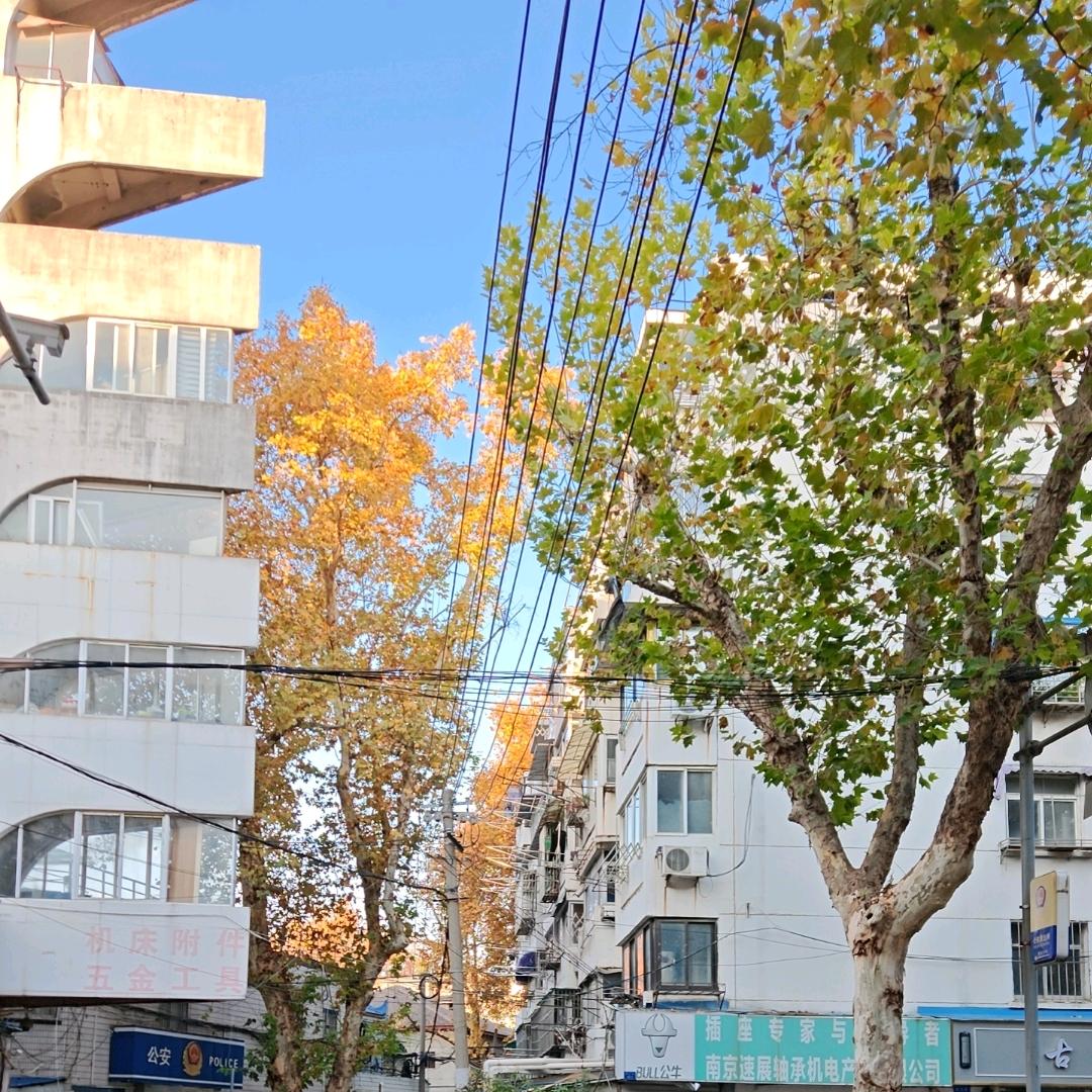 熊二爱生活爱足球