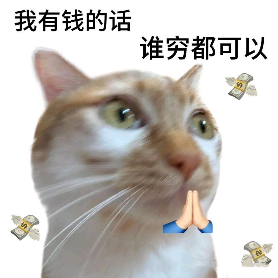 青山黛