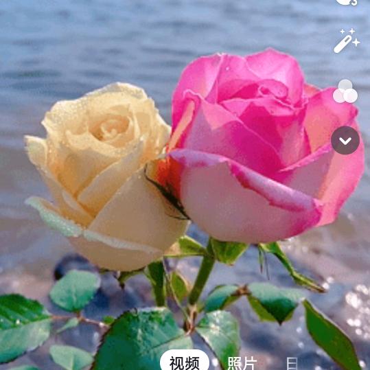 往事清零、从头开始