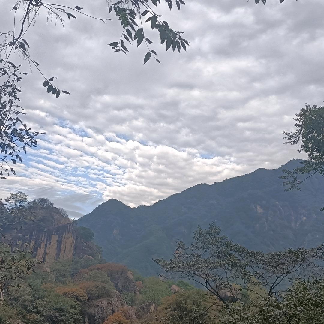 🍀微微一笑而过