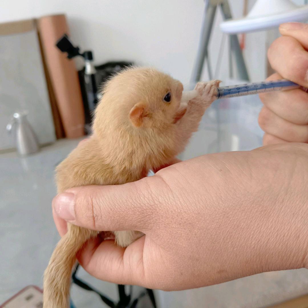 阔少牛仔