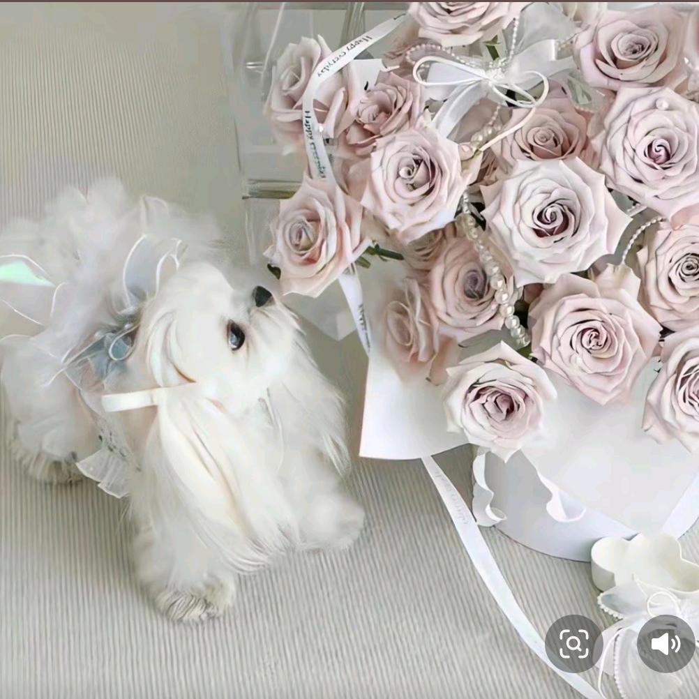 我睡觉的时候不困