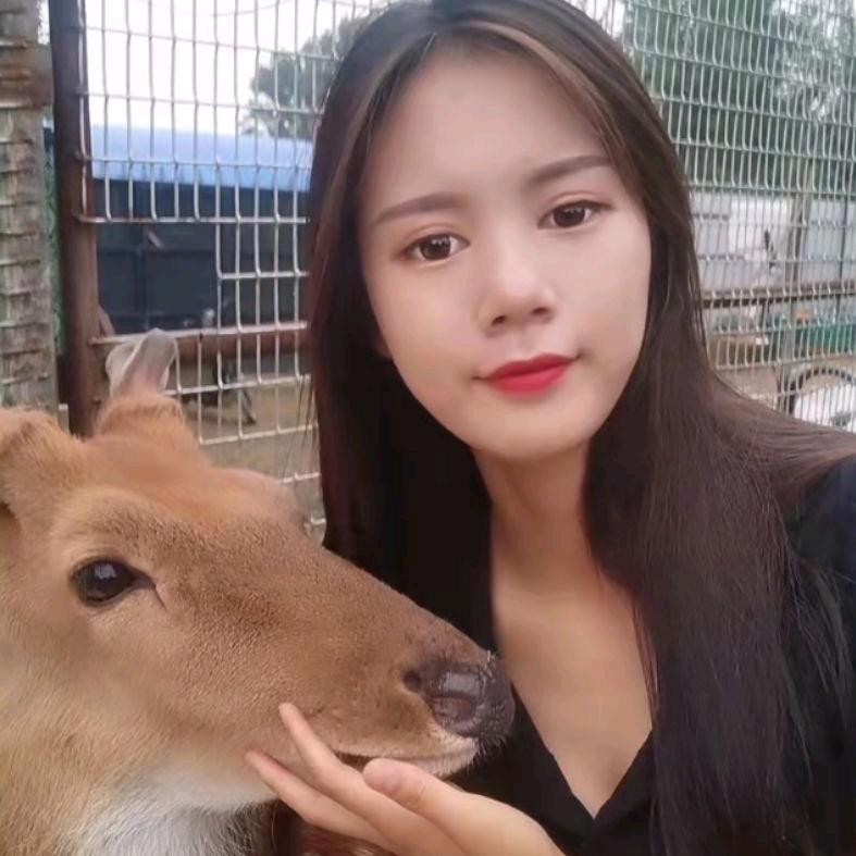 鹿鹿鹿女神🦌
