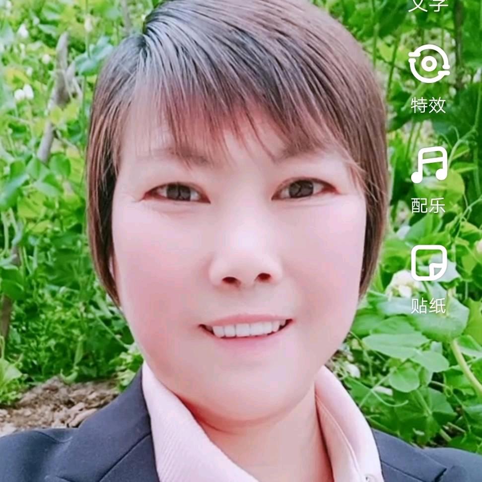 同叶