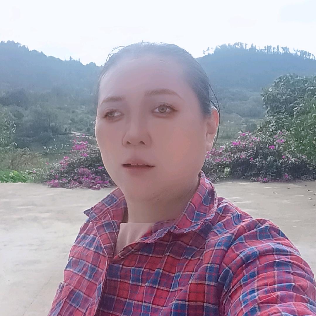 徐凤联重庆晚上10点半开播中午12点40