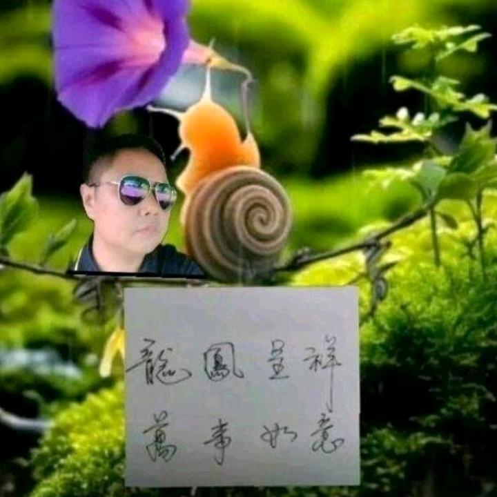 缘来有你