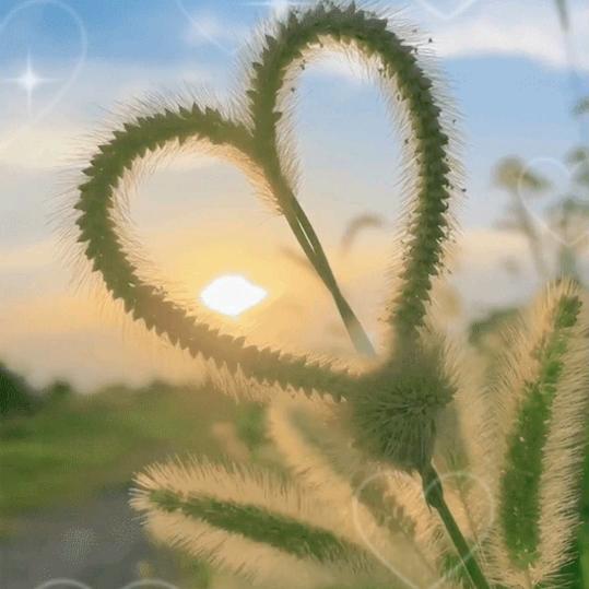 小雨滴💧