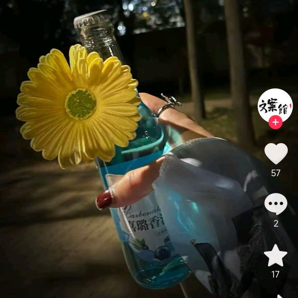 我是意中人
