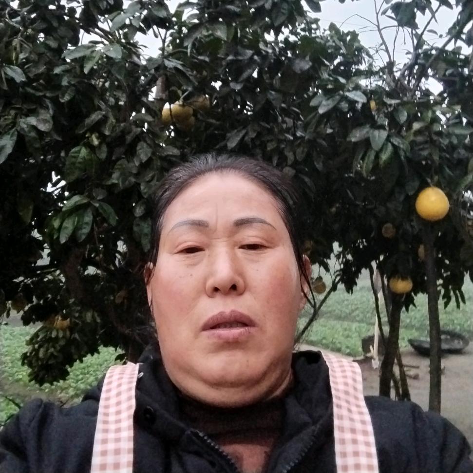 许光兰