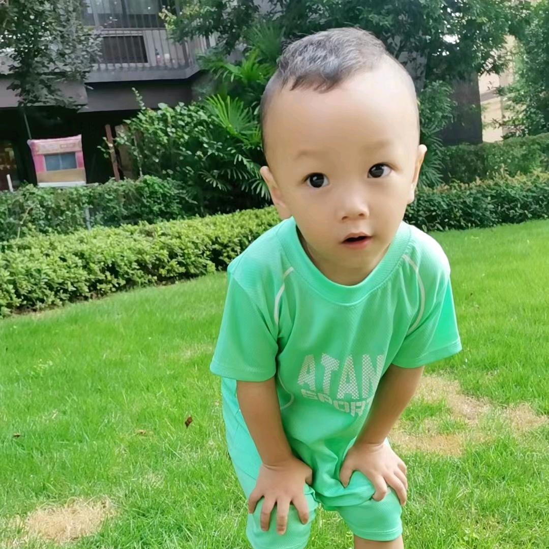 努力向前3995