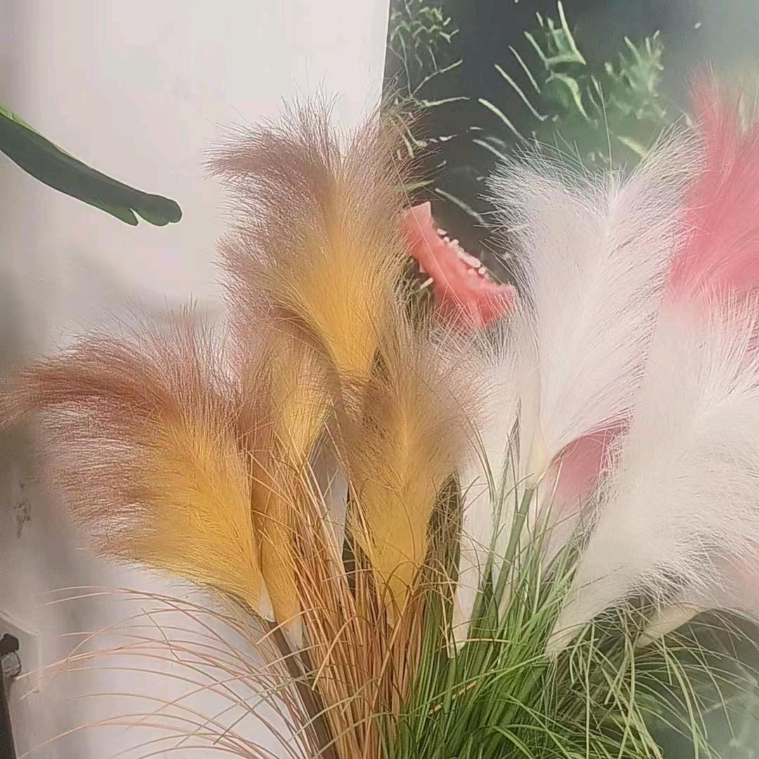 朋来甄选