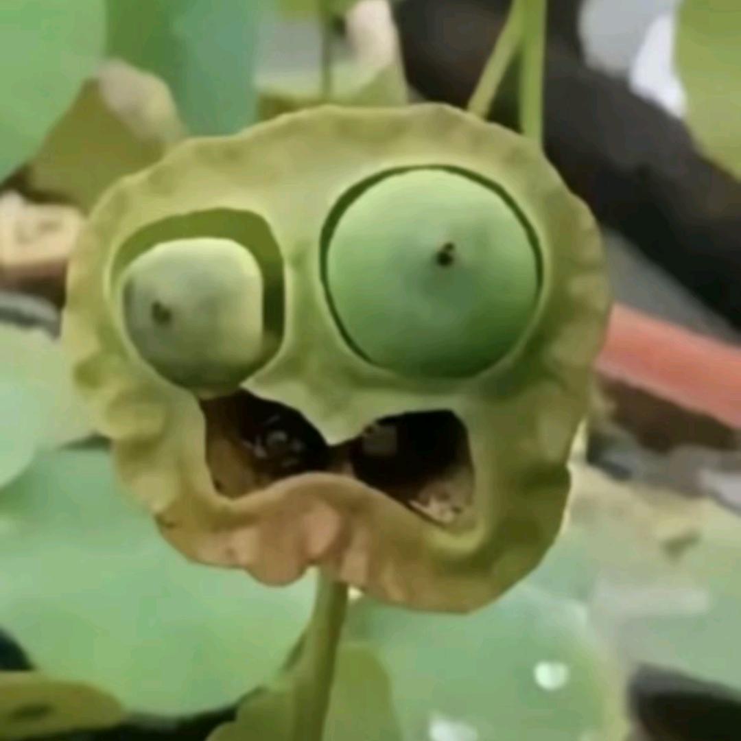 行百道