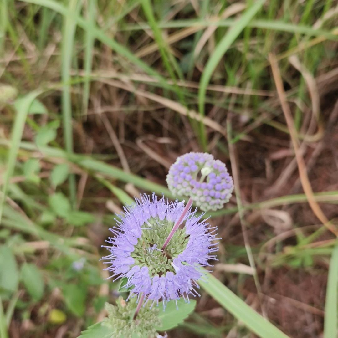 黑暗中独自前行的