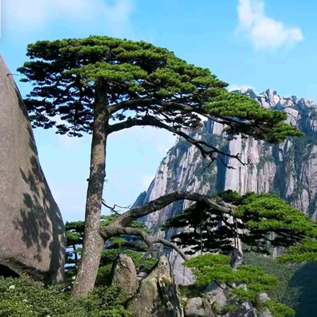 AAA天青色等烟雨🌹