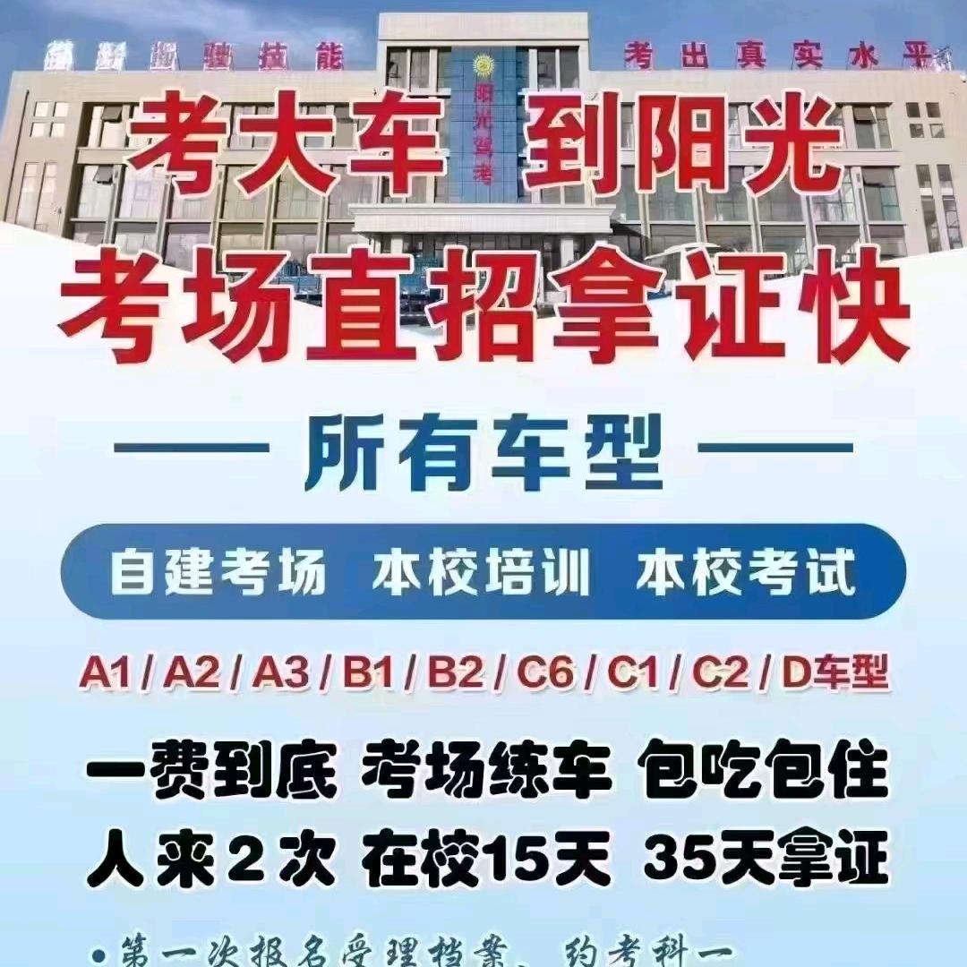 阳光驾校光头囧