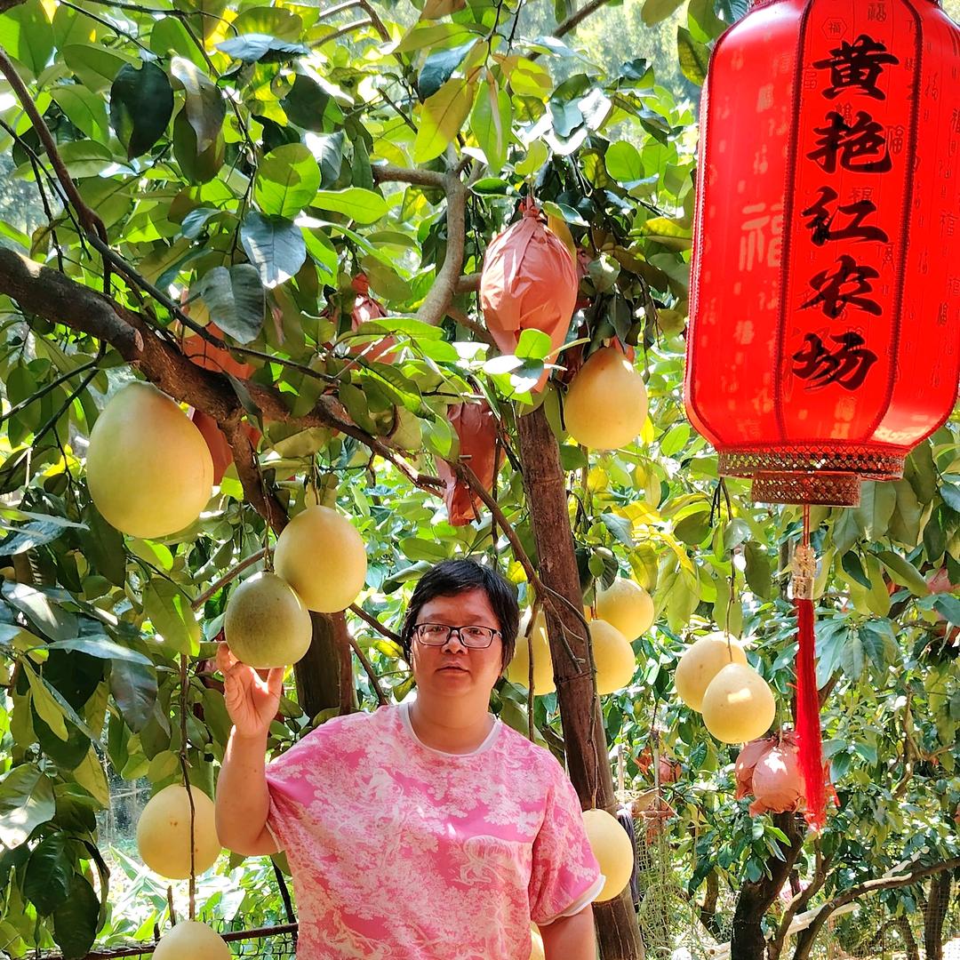 黄艳红农场