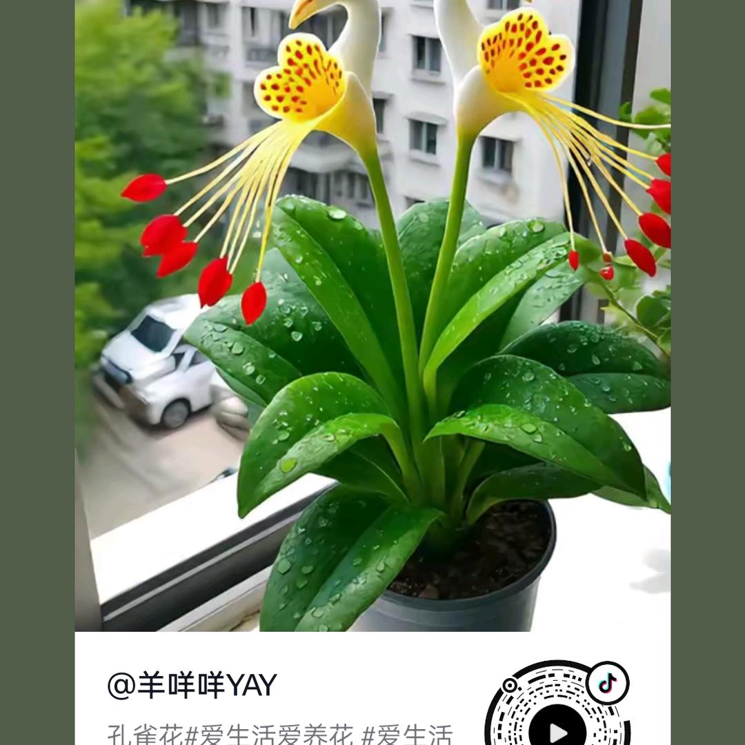 奋斗终身