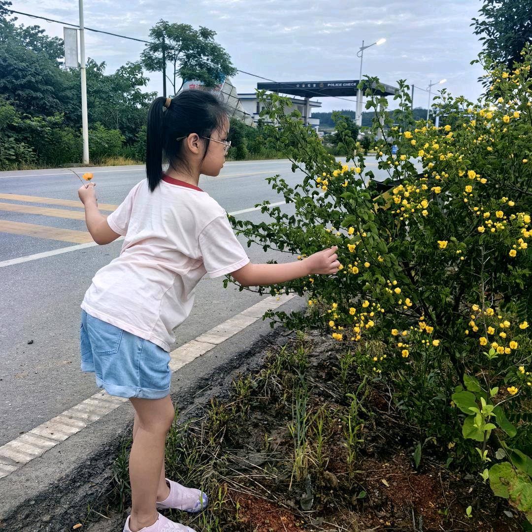 覃宝