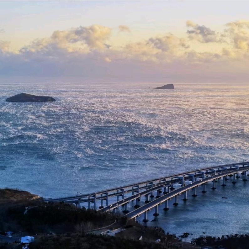 大连 东远