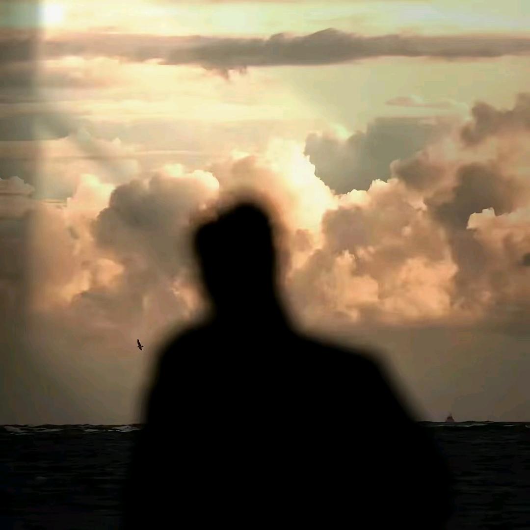 《枫》的最后一句