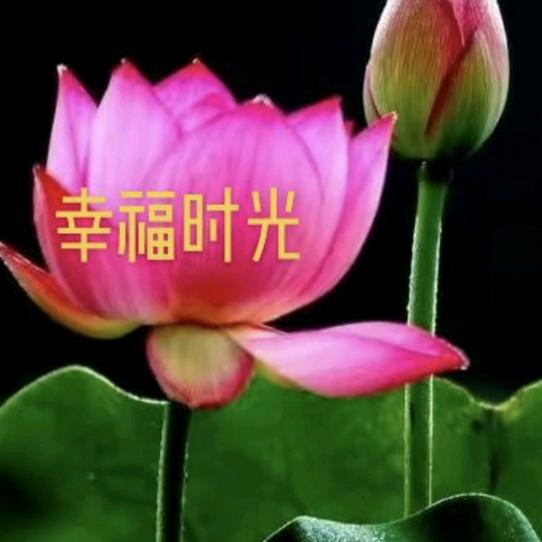 知足常乐💐🌾🌴970393593