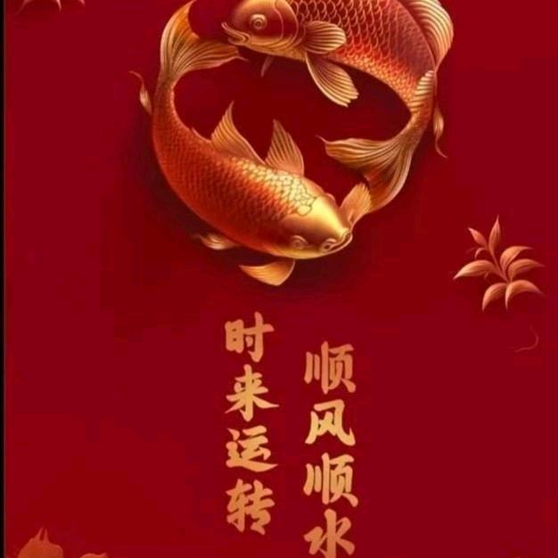猛龙过江  商品优选