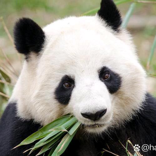 抹杀你的骄傲