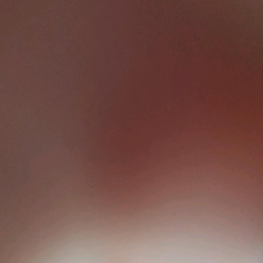 许仙的许。