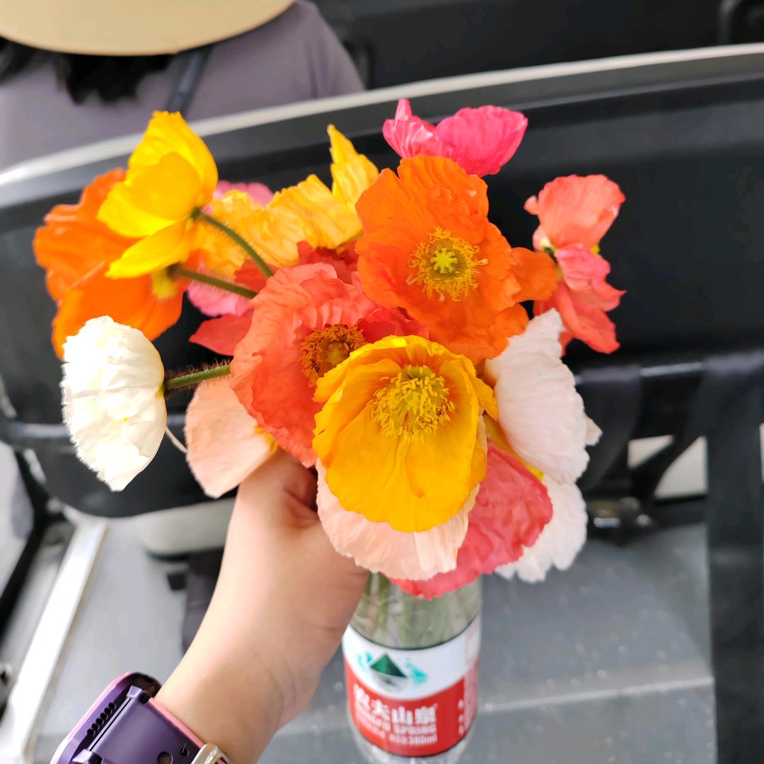 宸之吉-好物分享