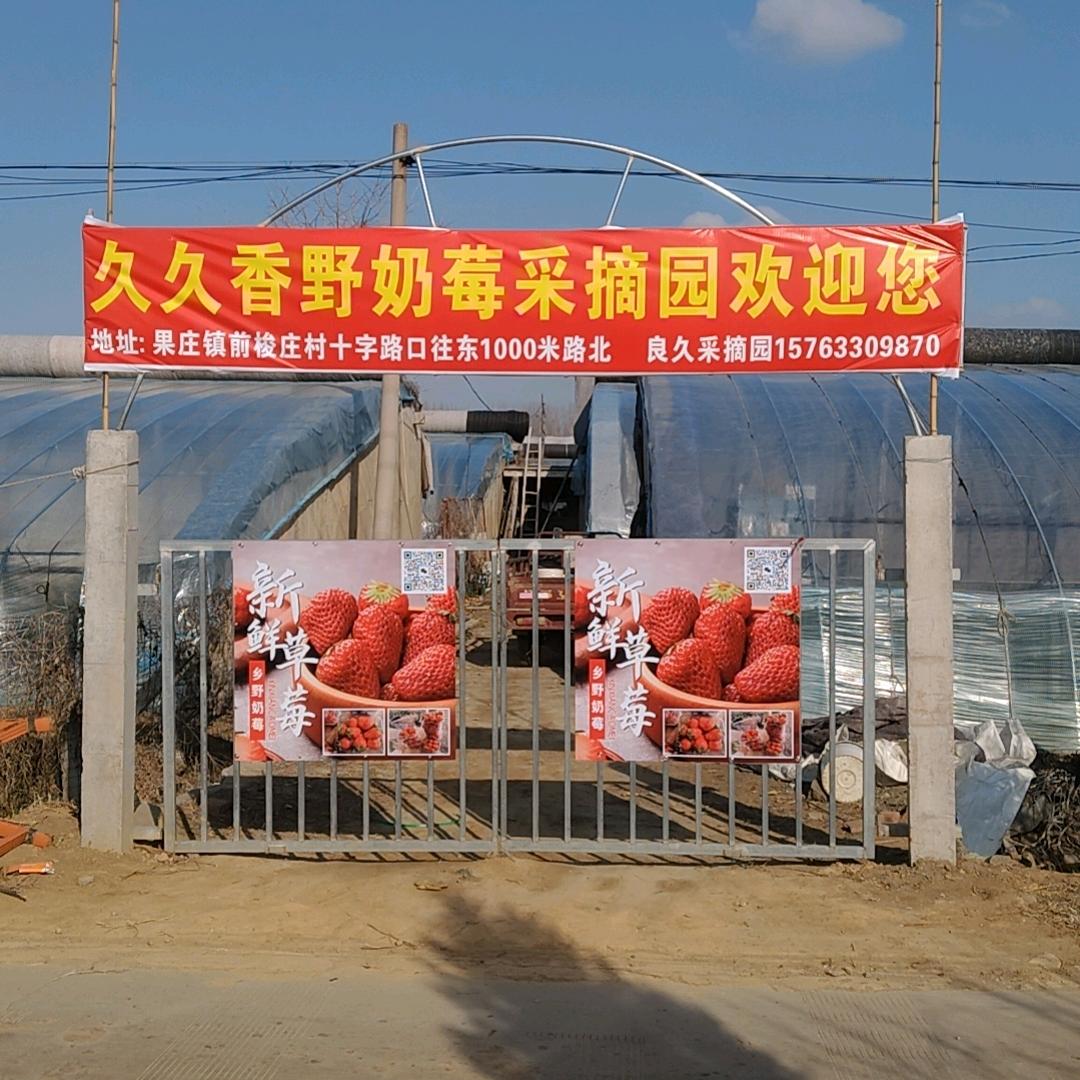 卖草莓的小哥哥