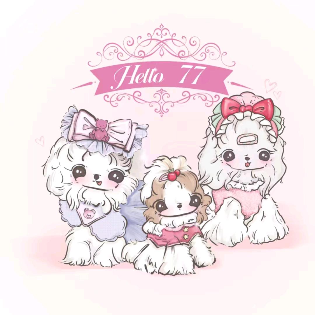 Hello77宠物定制