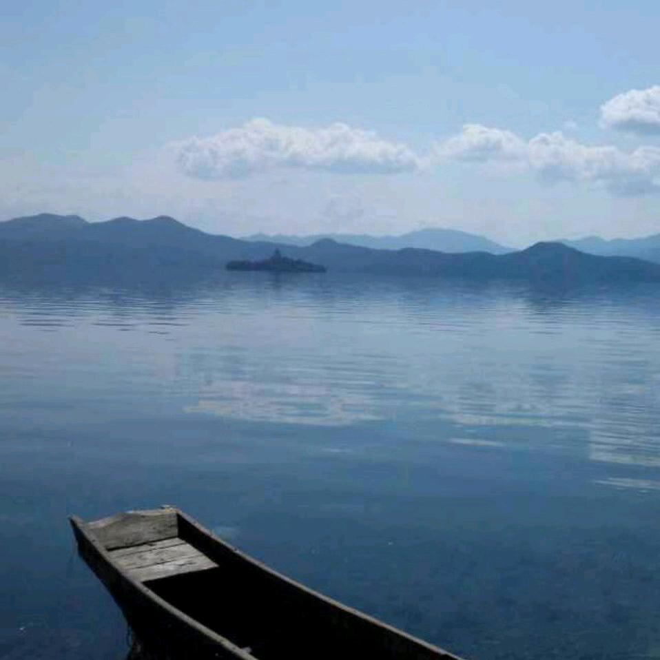 杉杉