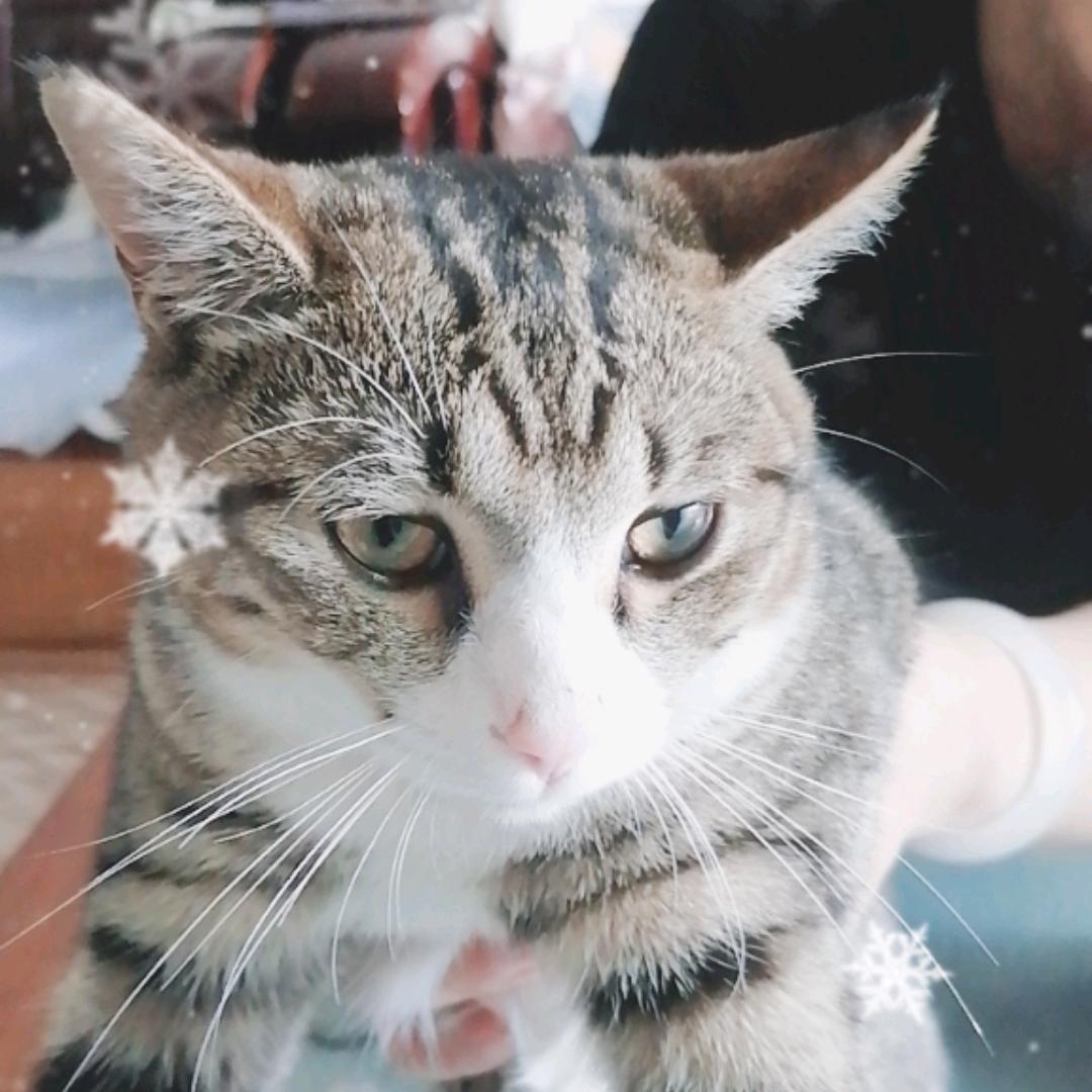 富贵玩游戏
