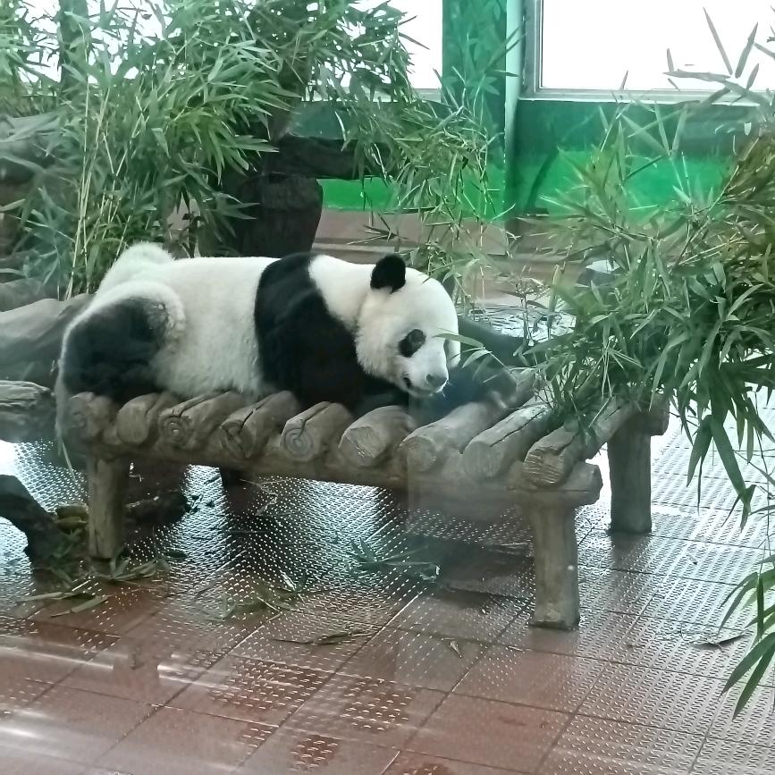 慕名
