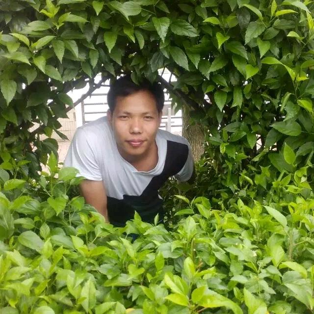 湖南小龚